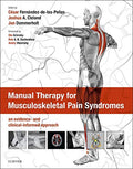 Manual Therapy for Musculoskeletal Pain Syndromes: an evidence and clinicalinformed approach
