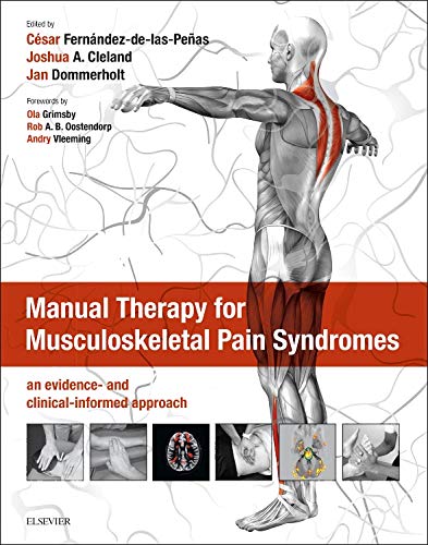 Manual Therapy for Musculoskeletal Pain Syndromes: an evidence and clinicalinformed approach