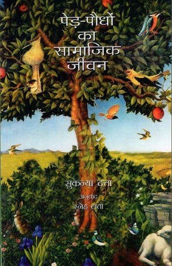Boori Ka Pul (Hindi) Pb