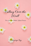 Falling over the wall: Two Souls, One Shelter, Infinite Forever.