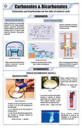 Stc12 | Teachingnest | Carbonates And Bicarbonates Chart (58X90 Cm) | English | Chemistry Charts | With Rollers [Wall Chart] Tea