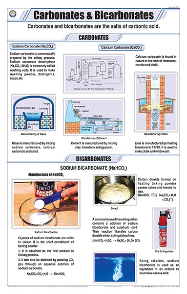 Stc12 | Teachingnest | Carbonates And Bicarbonates Chart (58X90 Cm) | English | Chemistry Charts | With Rollers [Wall Chart] Tea