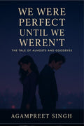 WE WERE PERFECT UNTIL WE WERENT: A TALE OF ALMOSTS AND GOODBYES