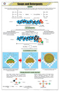 Stc26 | Teachingnest | Soaps And Detergents Chart (58X90 Cm) | English | Chemistry Charts | With Rollers [Wall Chart] Teachingne