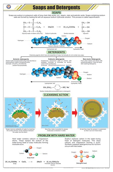 Stc26 | Teachingnest | Soaps And Detergents Chart (58X90 Cm) | English | Chemistry Charts | With Rollers [Wall Chart] Teachingne