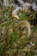 Monocot And Dicot
