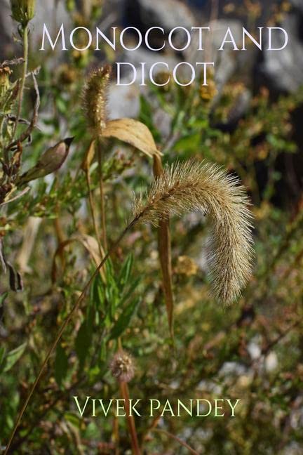 Monocot And Dicot