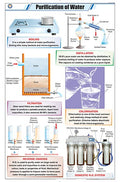 Stg28 | Teachingnest Purification Of Water Chart (58X90Cm) | English | General Science Charts [Wall Chart]