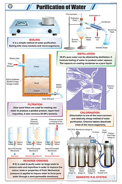 Stg28 | Teachingnest Purification Of Water Chart (58X90Cm) | English | General Science Charts [Wall Chart]