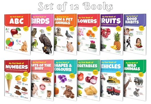 My First (EngHindi) Picture Book Collection For Early Learning With 12 Topics (Waterproof, DustResistant, Big Fonts, Laminated