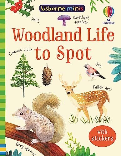 Woodland Life to Spot (Usborne Minis)