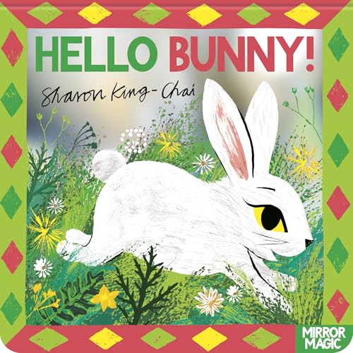 Hello Bunny!:A mirror searchandfind: A baby animal searchandfind mirror book (Mirror Magic)