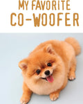 My Favorite CoWoofer