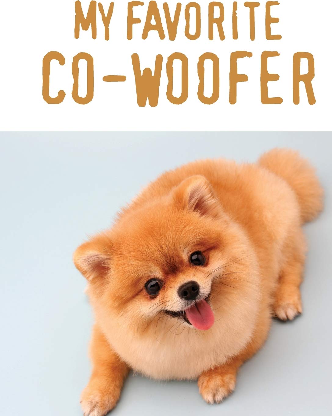 My Favorite CoWoofer