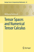Tensor Spaces and Numerical Tensor Calculus (Springer Series in Computational Mathematics, Vol. 42)