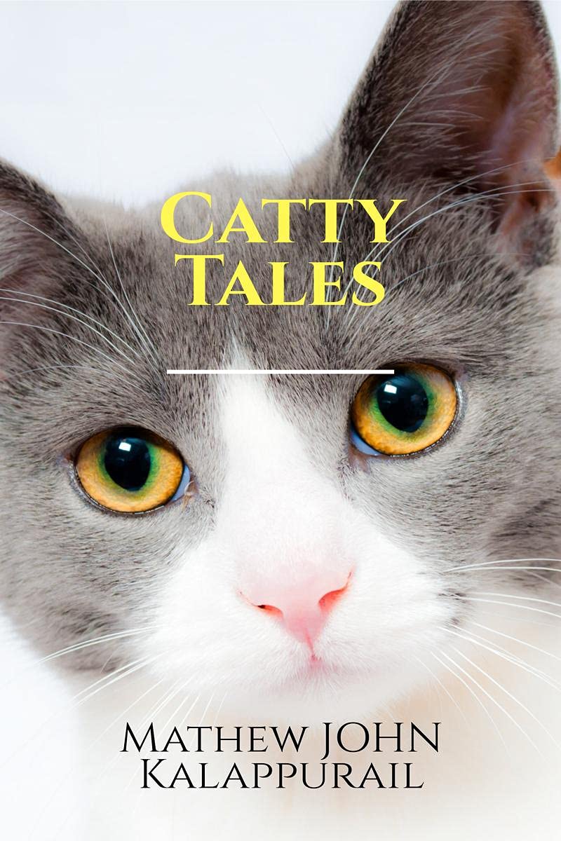 Catty Tales : A CatS Illustration Of Her Life