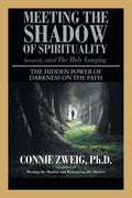 Meeting The Shadow Of Spirituality: The Hidden Power Of Darkness On The Path