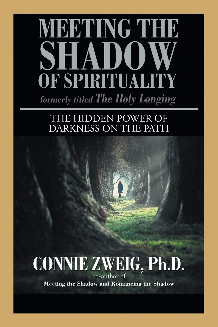 Meeting The Shadow Of Spirituality: The Hidden Power Of Darkness On The Path