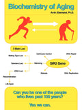 Biochemistry Of Aging: Wellness And Longevity