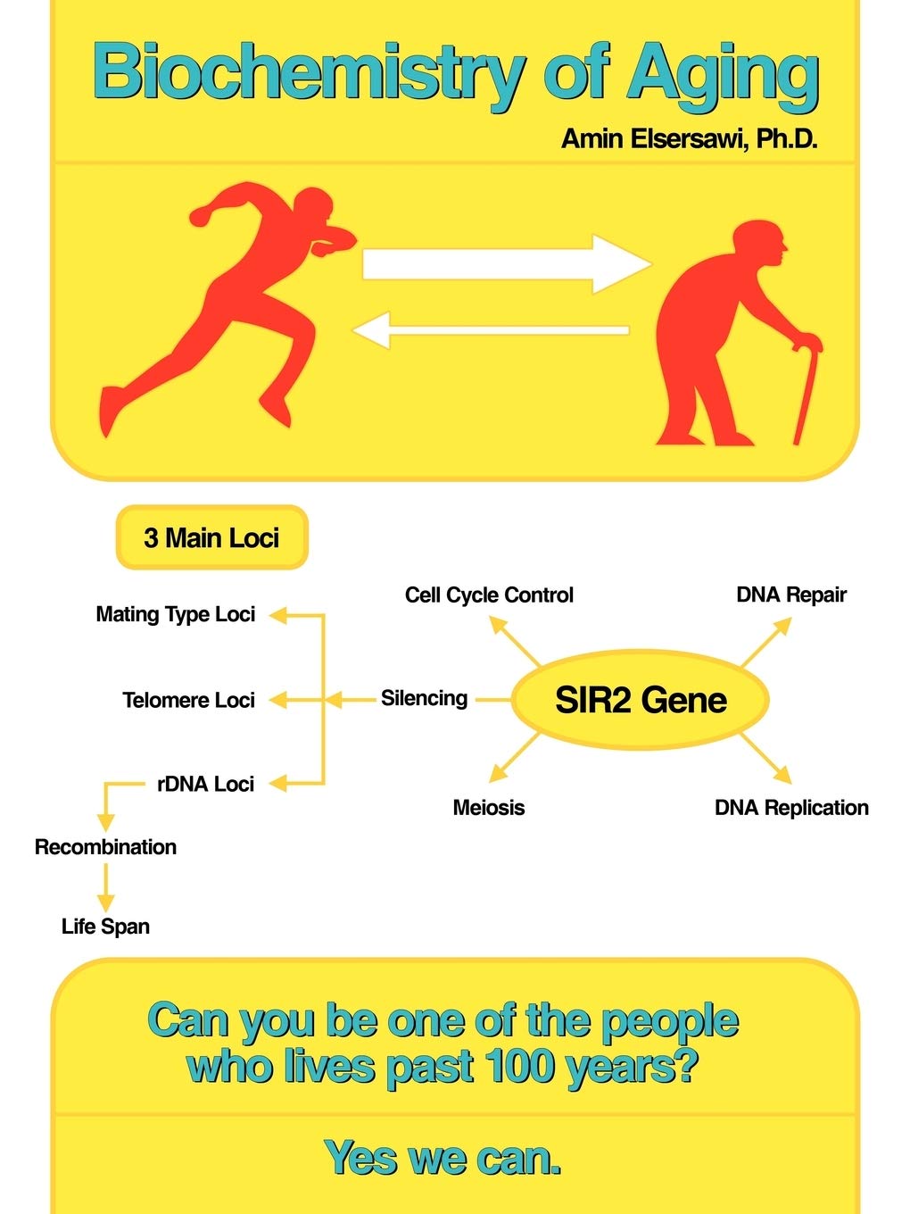 Biochemistry Of Aging: Wellness And Longevity