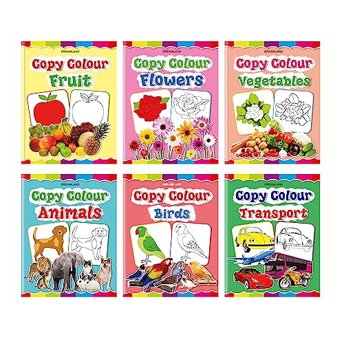 Set of 6 Copy Colour Books for Kids Age 35 Years | Animals, Birds, Flowers, Fruits, Transport, Vegetables | Fun Preschool Activi