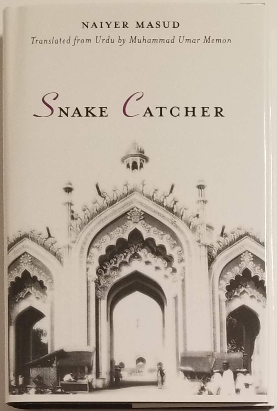 Snake Catcher