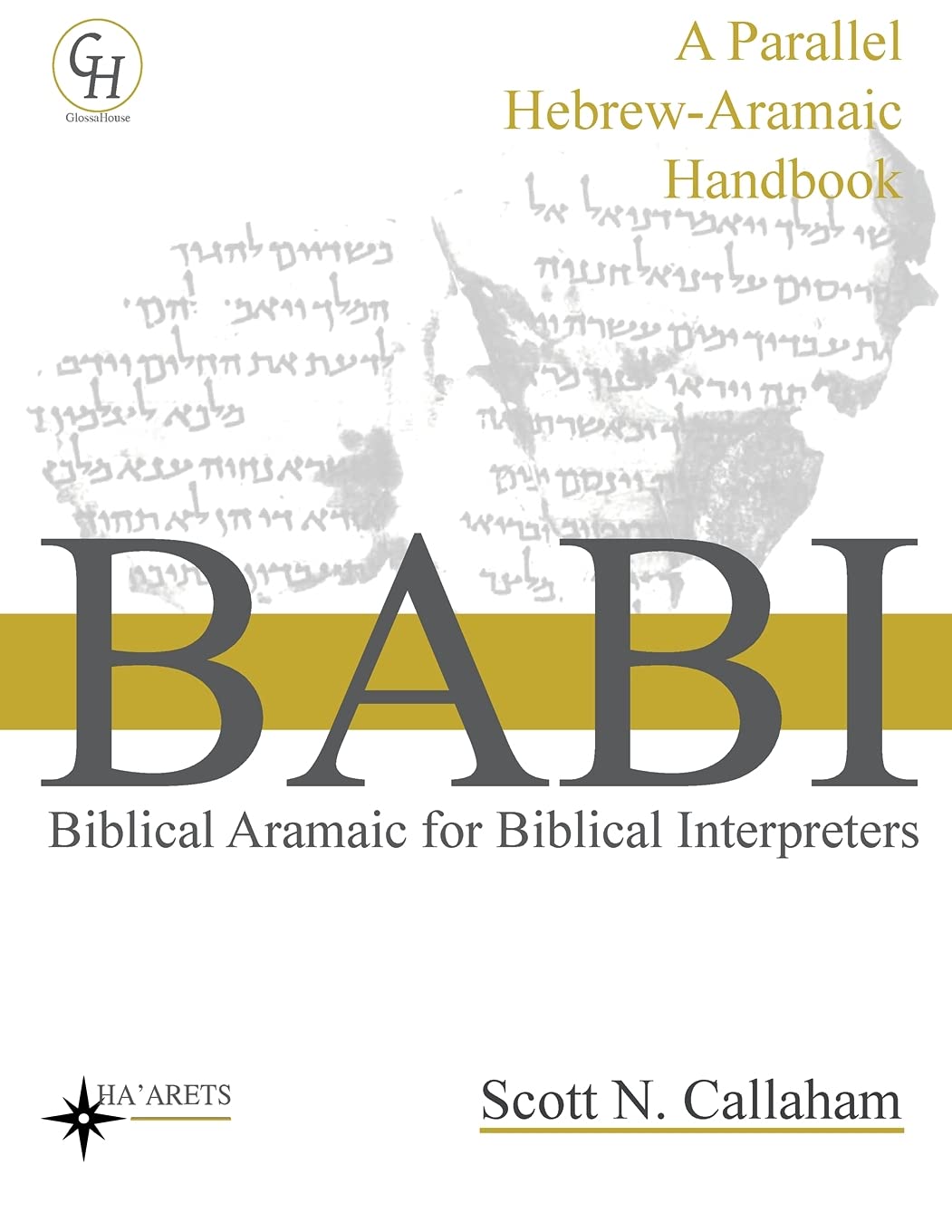 Biblical Aramaic For Biblical Interpreters: A Parallel HebrewAramaic Handbook: 8 (Hebrew & Aramaic Accessible Resources For Exe