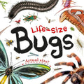 LifeSize Bugs (Lifesize Boards)