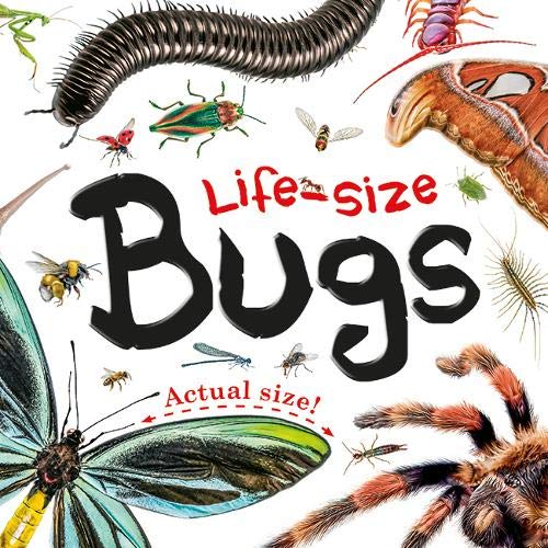 LifeSize Bugs (Lifesize Boards)