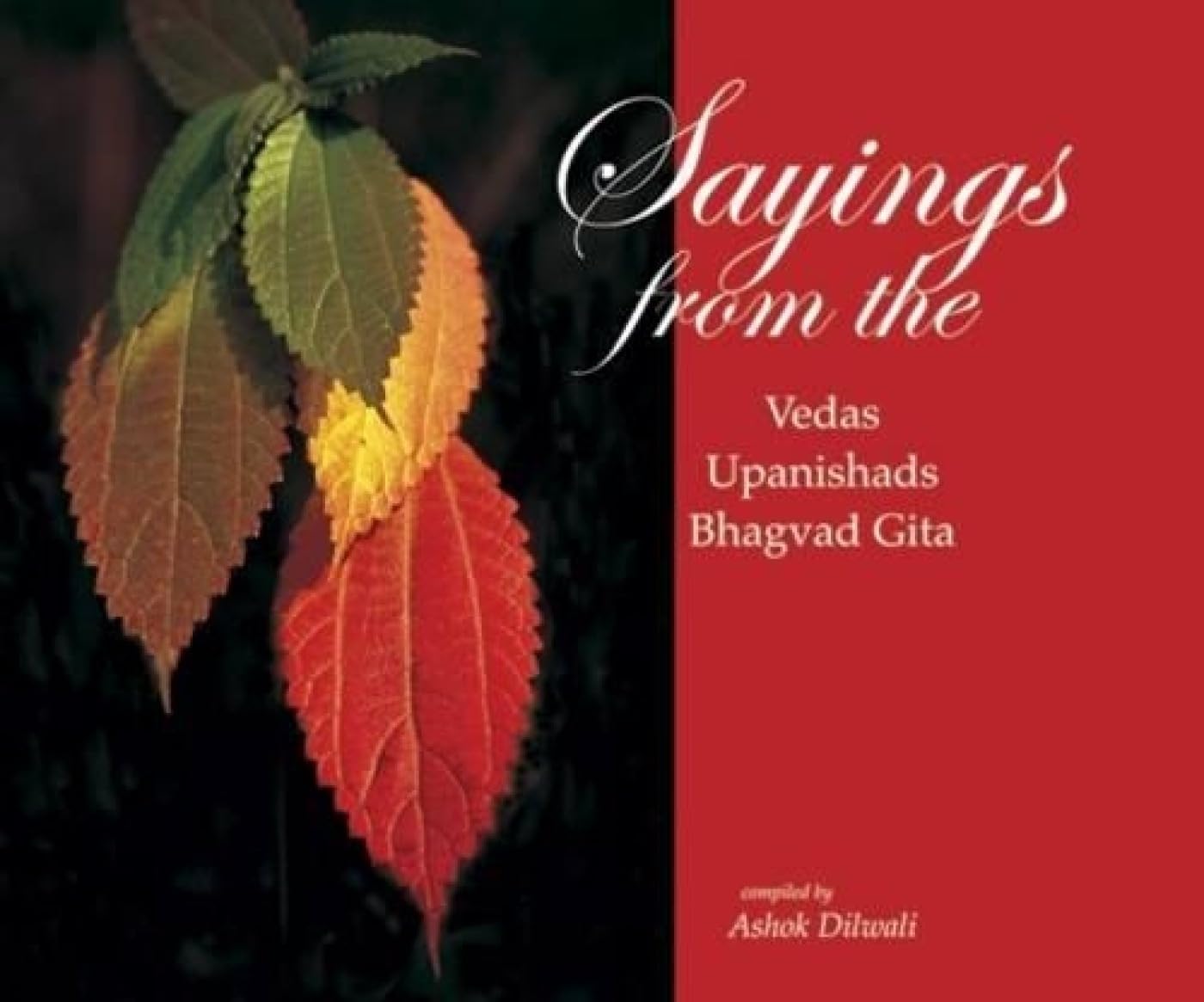 Saying From The Gita, Veda & Upnishads (Set)