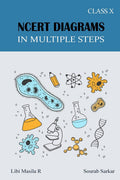 Ncert Diagrams In Multiple Steps : Class 10