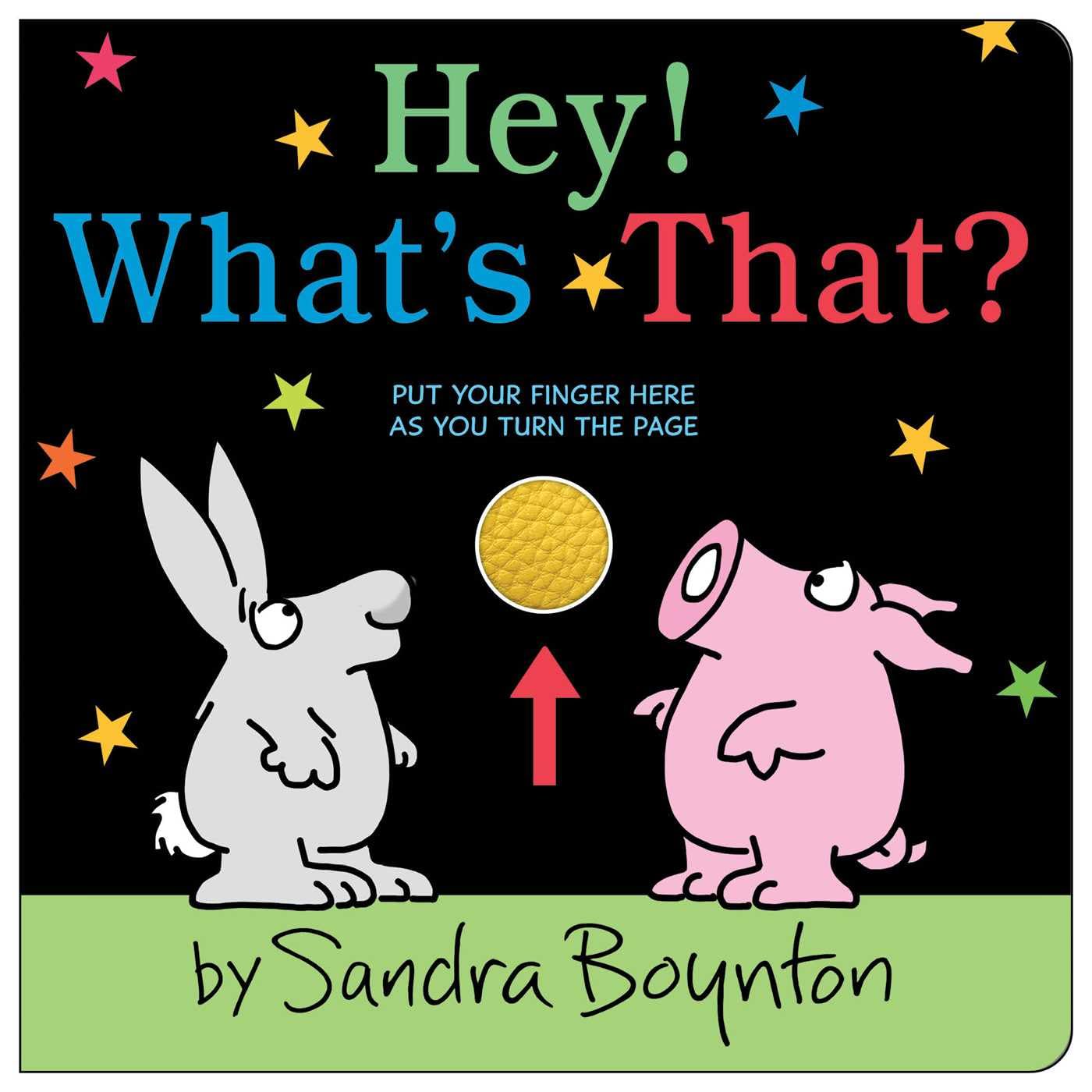 Hey! Whats That? (Boynton on Board (Sandra Boynton Board Books))