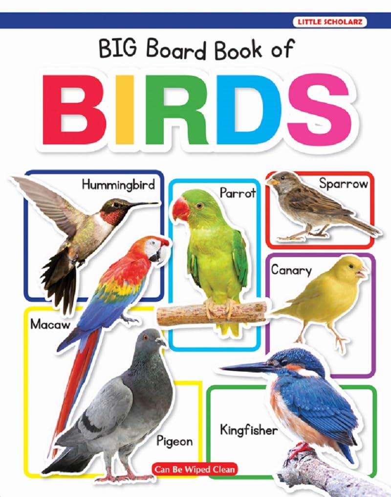 New Big Board Book of Birds