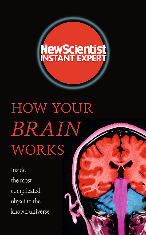 How Your Brain Works: Inside The Most Complicated Object In The Known Universe