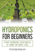 Hydroponics for Beginners: Start Growing Vegetables at Home Without Soil