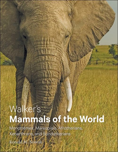 WalkerS Mammals Of The World  Monotremes, Marsupials, Afrotherians, Xenarthrans, And Sundatherians