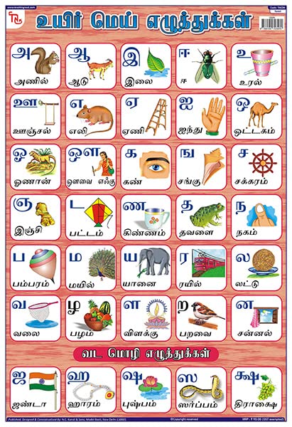 Tac04 | Teachingnest Tamil Alphabet Chart | Laminated 33X48 Cm (13X19 Inch) | Wall Sticking