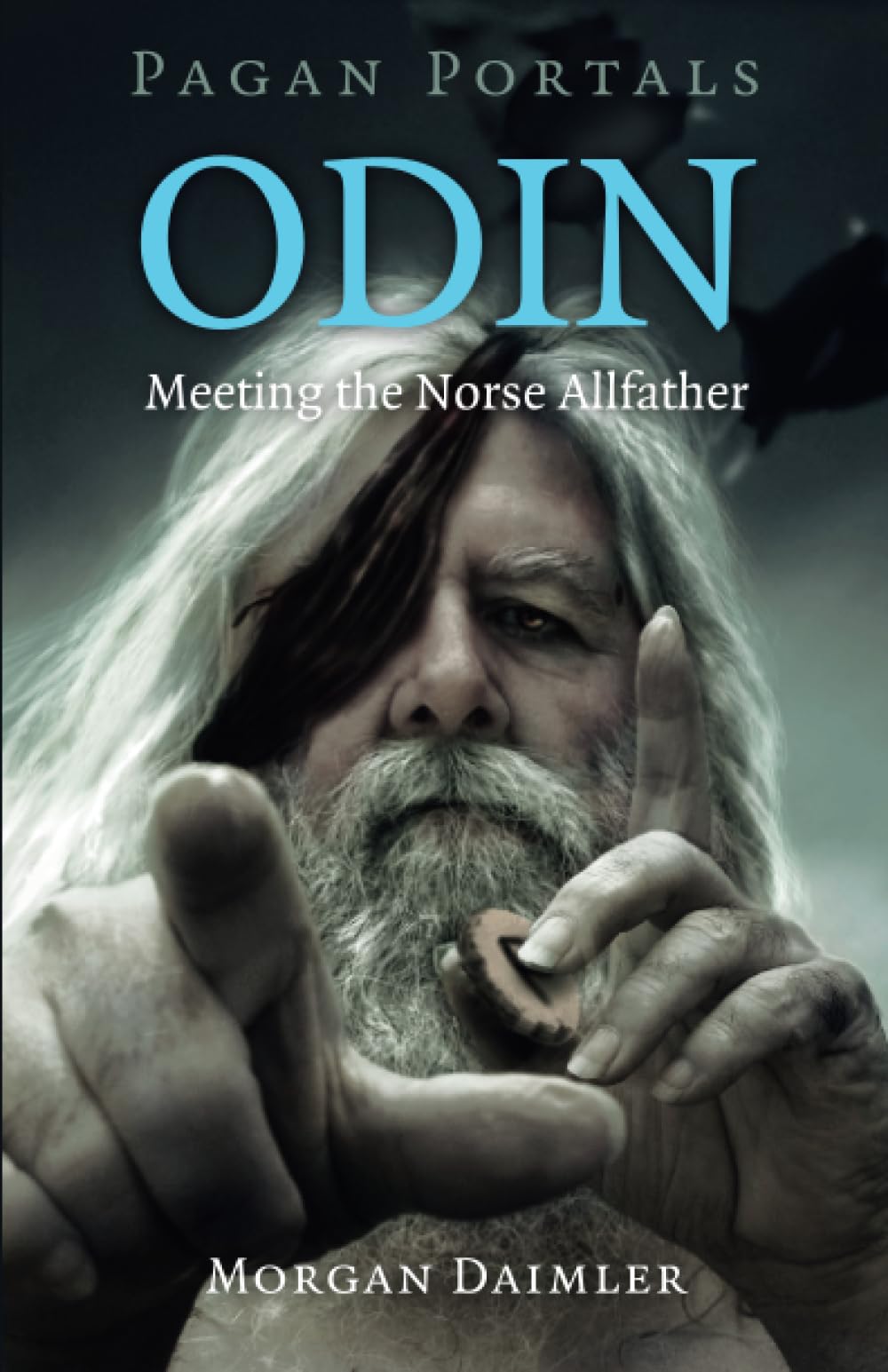 Pagan Portals  Odin