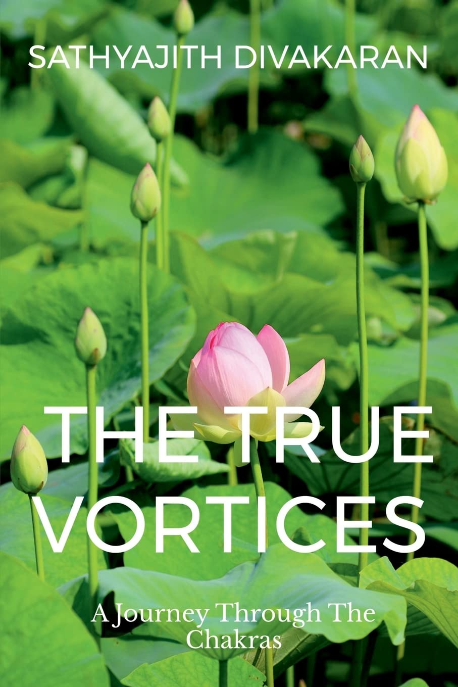 The True Vortices : A Journey Through The Chakras