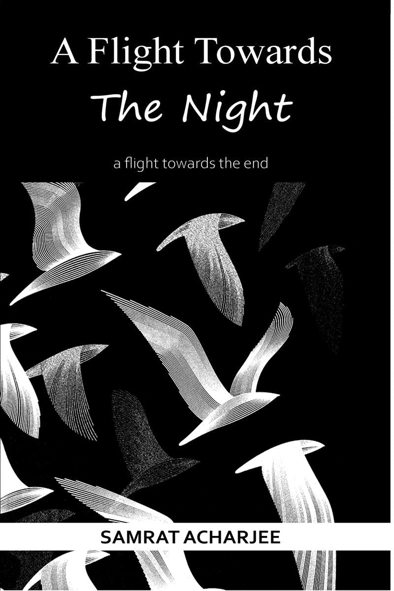 A Flight Towards The Night : A Flight Towards The End