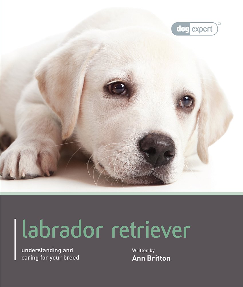 Labrador Retriever (This Is A Book!)