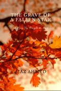 The Grave of a Fallen Star: A Love Too Bright to Last