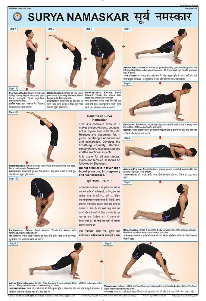 Teachingnest | Surya Namaskar Yoga Chart (50X75Cm) | Yoga Chart | With Rollers | English