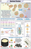 Stp38 | Teachingnest | Nuclear Fission Chart (58X90 Cm) | English | Physics Charts | With Rollers [Wall Chart] Charts On Physics