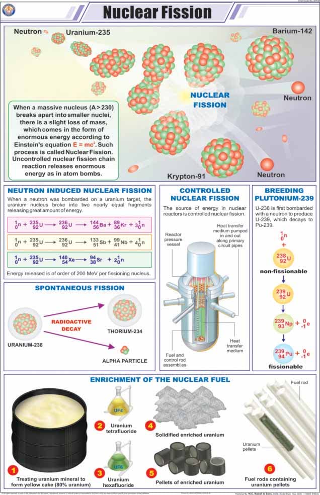 Stp38 | Teachingnest | Nuclear Fission Chart (58X90 Cm) | English | Physics Charts | With Rollers [Wall Chart] Charts On Physics