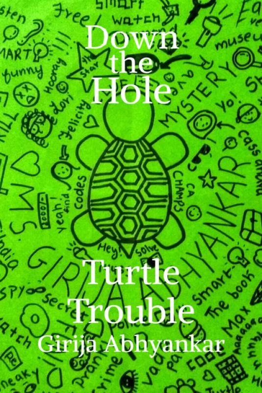 Down The Hole : Turtle Trouble
