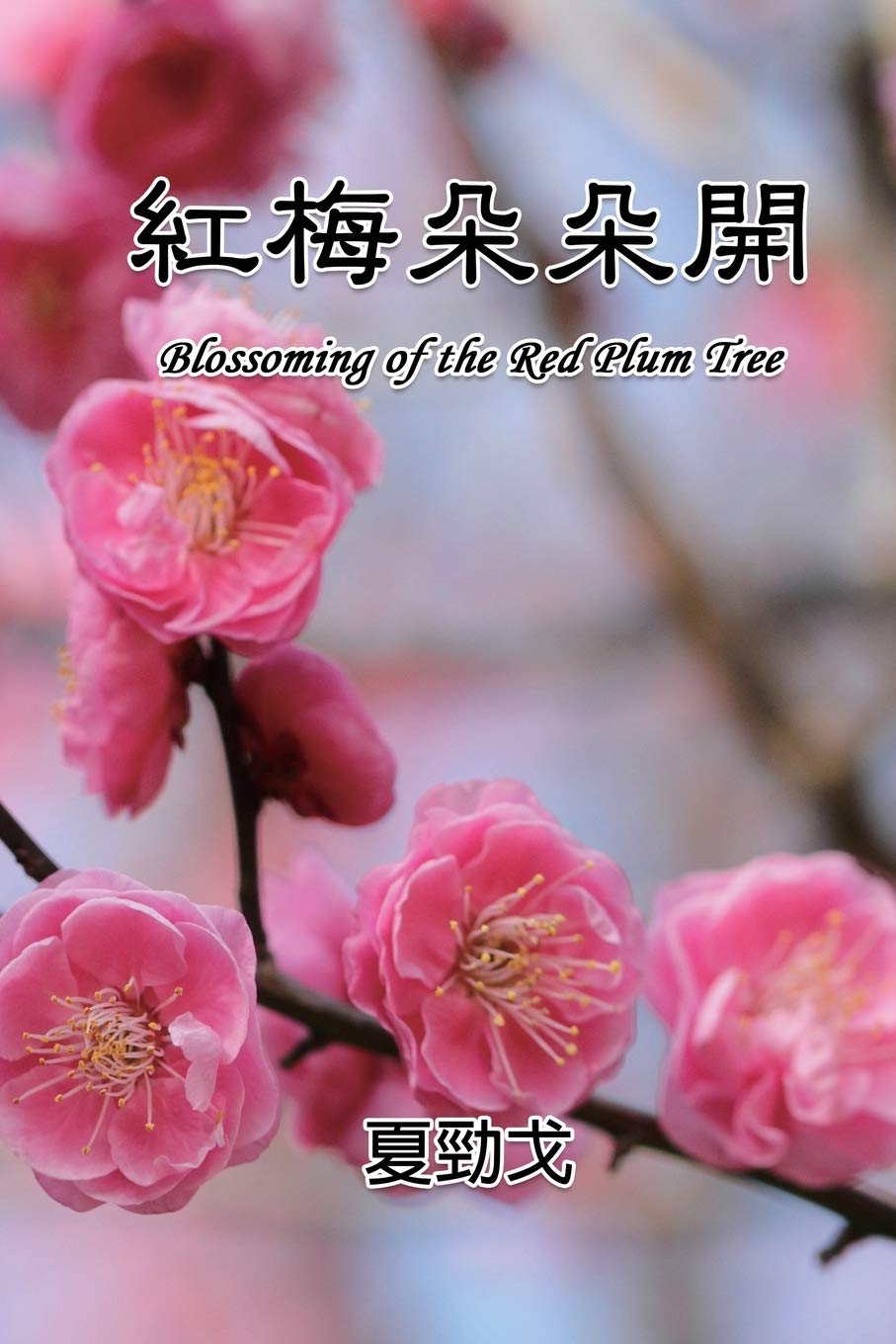 Blossoming of the Red Plum Tree: 