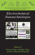 Electrochemical Nanotechnologies (Nanostructure Science and Technology)