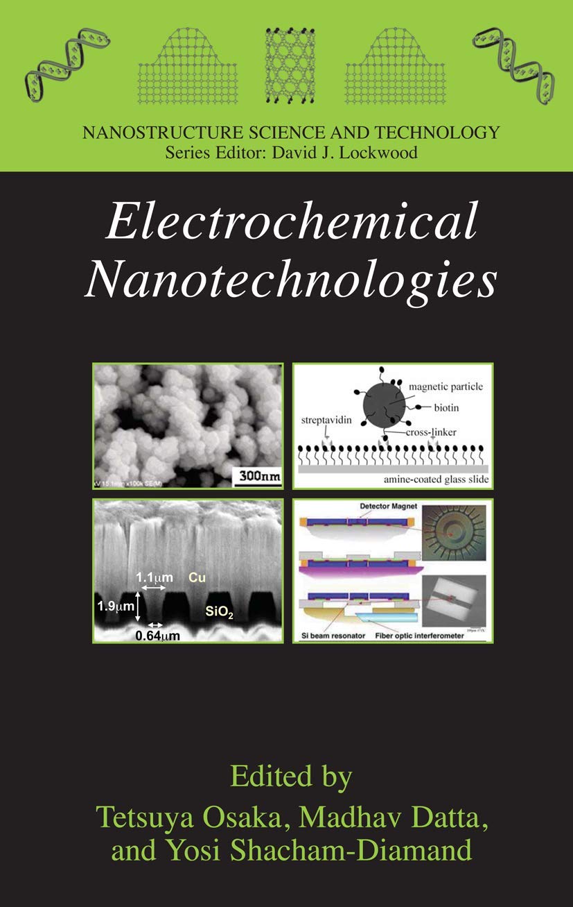 Electrochemical Nanotechnologies (Nanostructure Science and Technology)