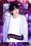 Bts : Kim Taehyung : Winter Bear
